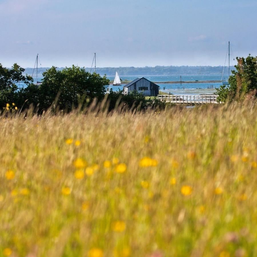 דירות Newtown  Isle Of Wight Cabin מראה חיצוני תמונה